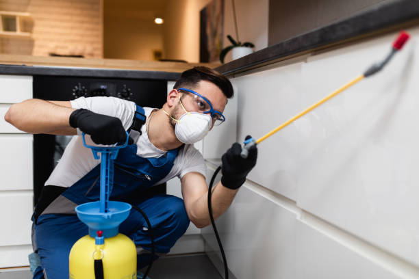 Best Wasp Removal Services  in Mec, CA