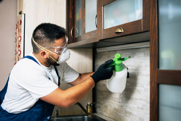 Best Emergency Pest Control  in Mec, CA