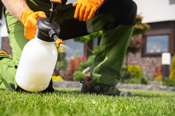 Best Cockroach Control Services  in Mec, CA
