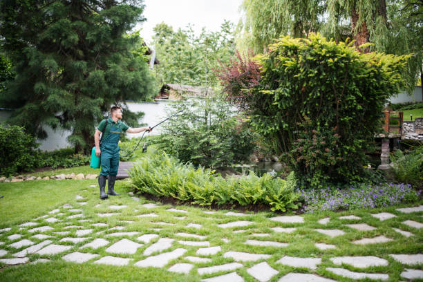 Best Mosquito Control Services  in Mec, CA