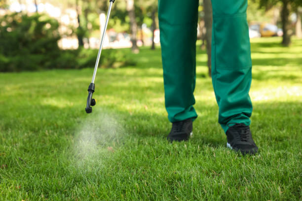 Best Rat Extermination Near Me  in Mec, CA