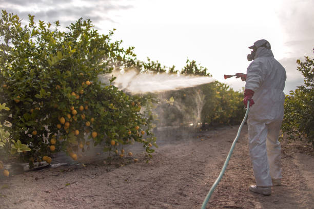 Best Pest Prevention Services  in Mec, CA