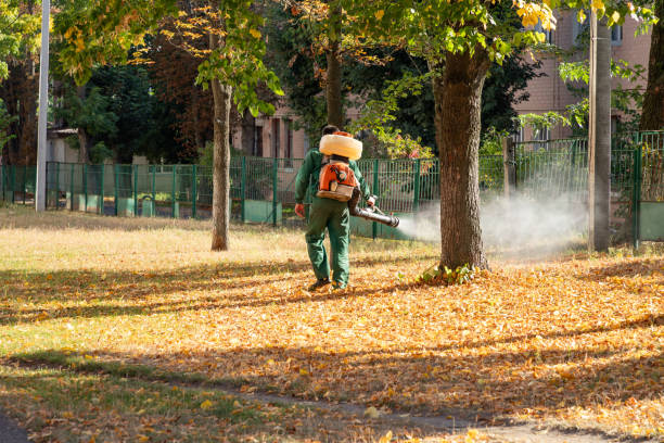 Best Bed Bug Extermination  in Mec, CA